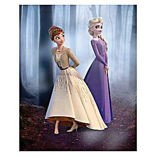 Komar Disney Edition 4 Poster Frozen Wood Walk (Disney, B x H: 40 x 50 cm)