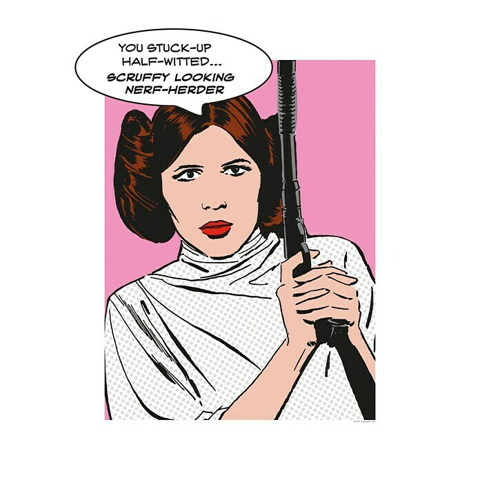Komar Star Wars Poster Comic Quote Leia 