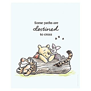 Komar Disney Edition 4 Poster Winnie Pooh Path (Disney, B x H: 40 x 50 cm)