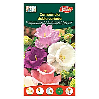 Euro Garden Semillas de flores Campanilla Campanula doble variada (Época de floración: Marzo - Septiembre)