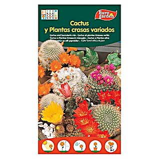 Euro Garden Semillas de Cactus (Época de floración: Marzo - Septiembre)
