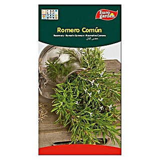 Euro Garden Semillas de hierbas Romero común (Tiempo de siembra: Febrero - Marzo, Cosecha: Abril - Octubre)