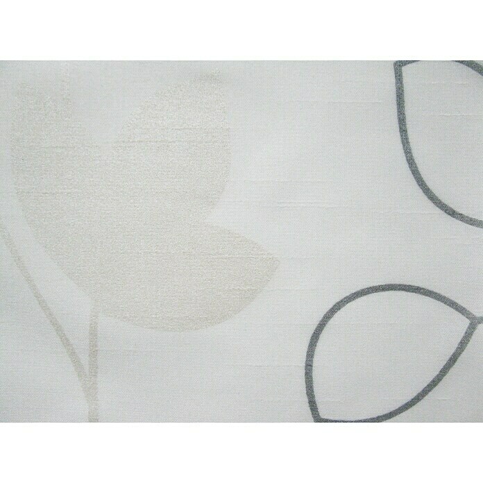 Elbersdrucke Schlaufenschal Beauty (140 x 255 cm, 100 % Polyester, Beige)