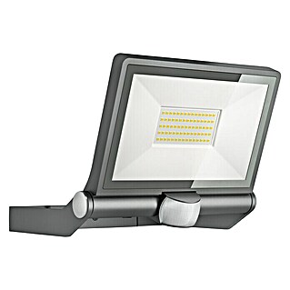 Steinel Sensor-LED-Strahler XLED ONE XL S ANT (Anthrazit, L x B x H: 22,2 x 25,9 x 21,5 cm, IP44)