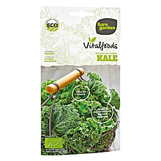 Euro Garden Semillas de vegetales Repollo Kale (Cosecha: Junio - Septiembre)
