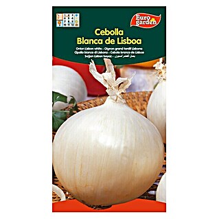 Euro Garden Bulbos de cebolla Blanca de Lisboa (Cosecha: Agosto - Septiembre, 5 g)