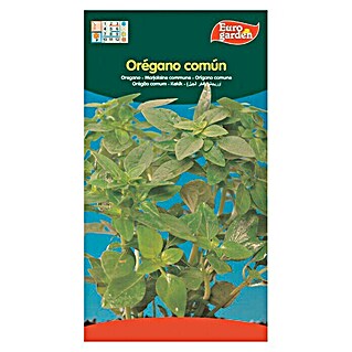Euro Garden Semillas de hierbas Orégano común (Tiempo de siembra: Febrero - Marzo, Cosecha: Mayo - Septiembre)