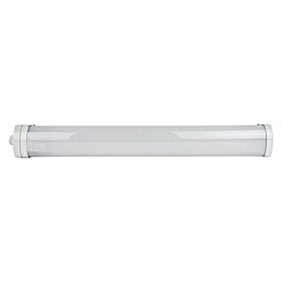 Ritter Leuchten LED-Feuchtraum-Lichtleiste Omega (18 W, Länge: 50 cm, Tageslichtweiß)