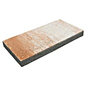 EHL Terrassenplatte Protect (Sandstein nuanciert, 60 x 30 x 5 cm, Beton)