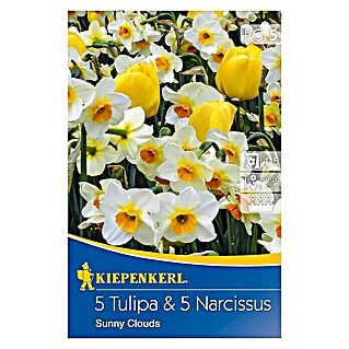 Kiepenkerl Frühlingsblumenzwiebeln 5 Tulpen & 5 Narzissen (10 Stk., Sunny Clouds)