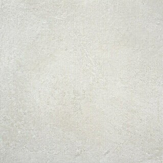 BHS Showroom Pavimento porcelánico Rodano (100 x 100 cm, Gris claro)