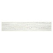 BHS Showroom Pavimento porcelánico Ninsba (23 x 120 cm, Blanco)