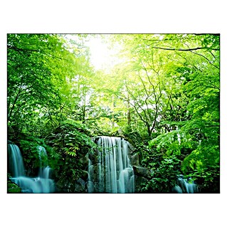 ProArt Leinwandbild (Forest & Waterfall III, B x H: 120 x 90 cm)
