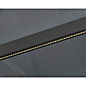 Terrassenüberdachung Tuscany LED (Tiefe: 3 m, B x H: 5,46 x 2,1 m, Anthrazitgrau)