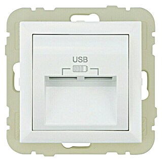 USB-Steckdose Logus (Weiß, 2-fach, Kunststoff, IP20)