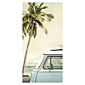 Impresión artística Palmera y coche (Palm and car, 40 x 80 cm)