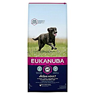 Eukanuba Hondenvoer Adult Large Breed Kip (18 maanden - 6 jaar, 12 kg)