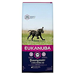 Eukanuba Hondenvoer Growing Puppy Large Breed (12 kg, Kip)