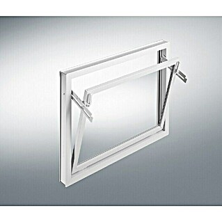 Podrumski prozor (Š x V: 60 x 50 cm, Bijele boje)