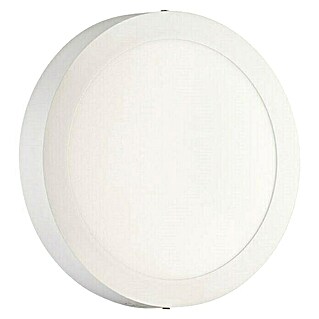 Ferotehna Okrugla ploča s LED svjetlom Slim (24 W, Ø x V: 300 x 30 mm, Bijele boje, Hladna bijela)