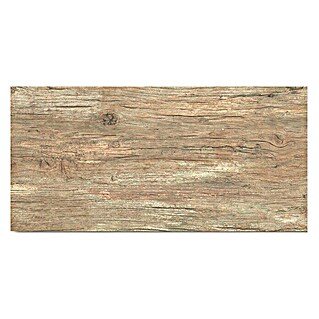 Momastela Porculanska pločica Radice (D x Š: 31 x 62 cm, Bež boje, Glazirano)