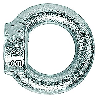 Prstenasta matica Fischer RI (M10, Promjer: 25 mm)