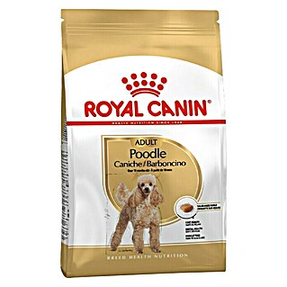 Royal Canin Suha hrana za pse BHN Poodle 1,5 kg (Analitički sastavni dijelovi: Sirove bjelančevine 30%, sirova ulja i masti 19%, sirova vlaknina 2.1%)