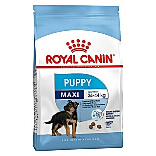 Royal Canin Suha hrana za pse SHN Maxi Puppy 4 kg (Analitički sastavni dijelovi: Sirove bjelančevine 30%, sirova ulja i masti 16%, sirova vlaknina 2.6%, NFE 34.2%)