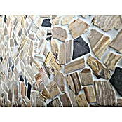 Mosaikfliese Mix CIOT FNWS (30,5 x 30,5 cm, Braun/Beige, Matt)