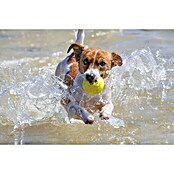 Karlie Hundespielzeug Tennisball-Set
