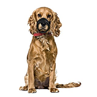 Karlie Hunde-Maulkorb Comfort (Geeignet für: Beagle/Cocker Spaniel/Westie/West Highland Terrier, Nylon)