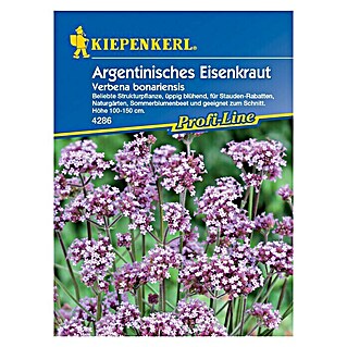 Kiepenkerl Profi-Line Blumensamen Eisenkraut (Verbena bonariensis, Lavendelblau)