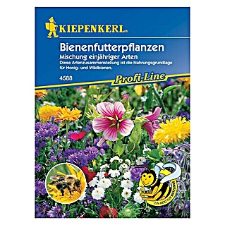 Kiepenkerl Blumensamenmischung Bienenfutterpflanzen (Verschiedene Sorten, Blütezeit: Juni - September, 10 m²)