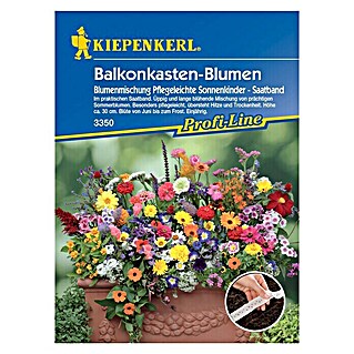 Kiepenkerl Profi-Line Blumensamen Pflegeleichte Sonnenkinder Saatband (Verschiedene Sorten, Mehrfarbig)