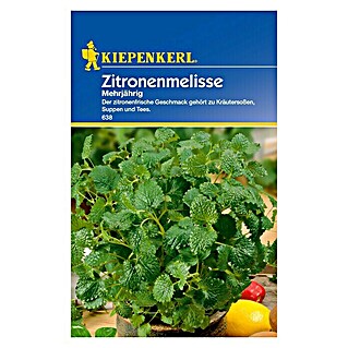 Kiepenkerl Kräutersamen Zitronenmelisse (Melissa officinalis, Erntezeit: Ganzjährig)