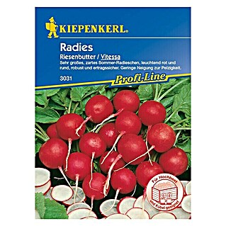 Kiepenkerl Profi-Line Gemüsesamen Radieschen (Vitessa, Raphanus sativus var. sativus, Erntezeit: Juni - Oktober)