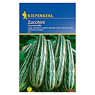 Kiepenkerl Gemüsesamen Zucchini Coucourzelle (Cucurbita pepo, Erntezeit: Juli - Oktober)