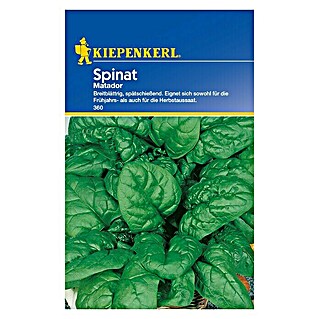 Kiepenkerl Gemüsesamen Spinat (33 g, Spinacia oleracea)