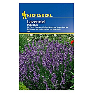 Kiepenkerl Blumensamen Lavendel (Lavandula angustifolia, Lavendelblau)