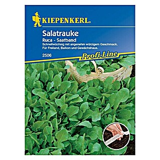 Kiepenkerl Profi-Line Salatsamen Salatrauke (Eruca sativa, Erntezeit: Ganzjährig)