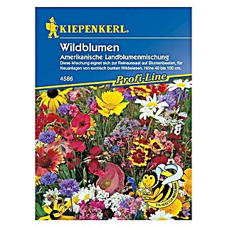 Kiepenkerl Profi-Line Blumensamen (Verschiedene Sorten, Mehrfarbig, 3 m² - 5 m²)