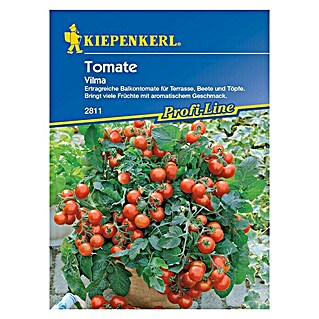 Kiepenkerl Profi-Line Gemüsesamen Tomate (Vilma, Solanum lycopersicum, Erntezeit: Juli - Oktober)