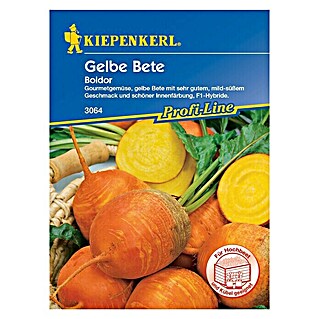 Kiepenkerl Profi-Line Gemüsesamen Gelbe Bete Boldor (Beta vulgaris var. vulgaris, Erntezeit: August - November)