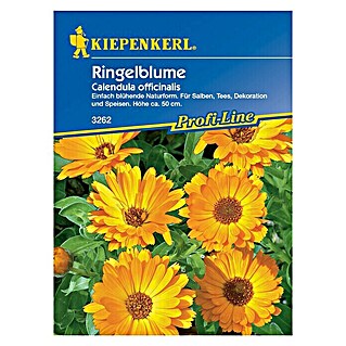 Kiepenkerl Profi-Line Blumensamen Ringelblume (Calendula officinalis, Naturform, Blütezeit: Juni - Oktober)