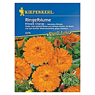 Kiepenkerl Profi-Line Blumensamen Ringelblume (Calendula officinalis, Prinzeß Orange, Blütezeit: Juni - Oktober)