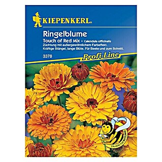 Kiepenkerl Profi-Line Blumensamen Ringelblume (Calendula officinalis, Touch of Red Mix, Blütezeit: Juni - Oktober)