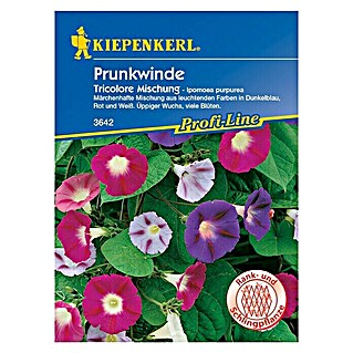 Kiepenkerl Profi-Line Blumensamen Prunkwinde (Ipomoea purpurea, Tricolore Mischung, Blütezeit: Juli - Oktober)