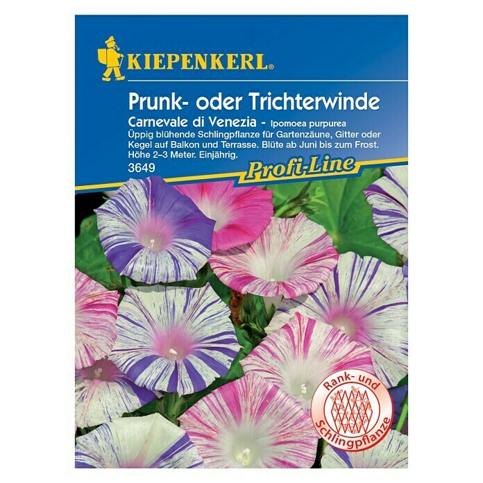Kiepenkerl Profi-Line Blumensamen Trichterwinde 