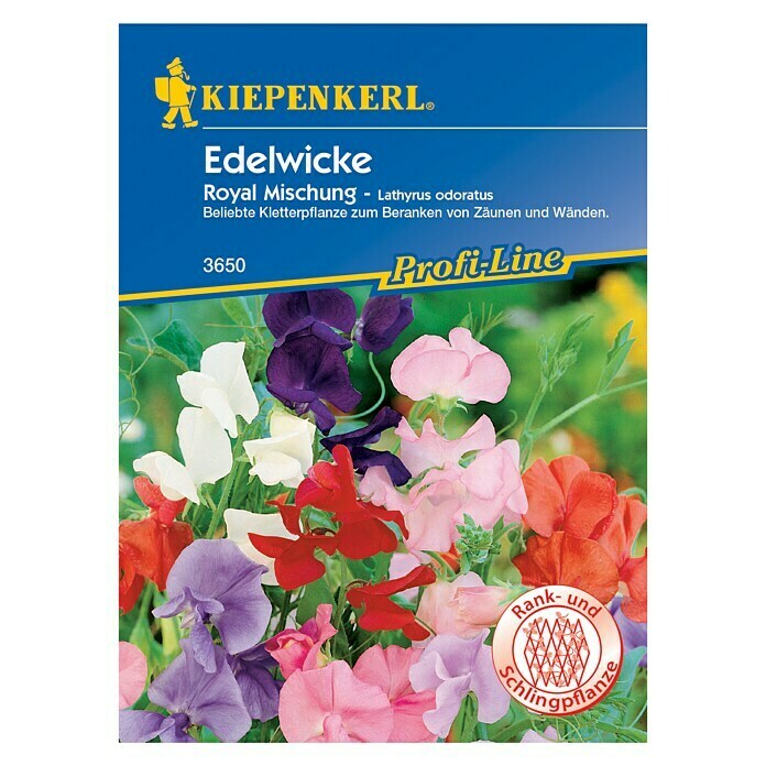 Kiepenkerl Profi-Line Blumensamen Edelwicke Royale Mischung 