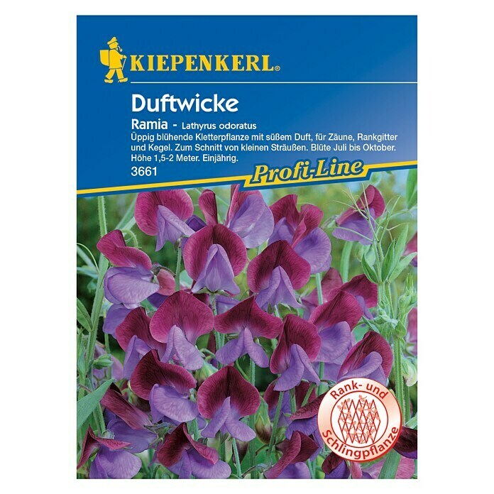 Kiepenkerl Profi-Line Blumensamen Duftwicke 